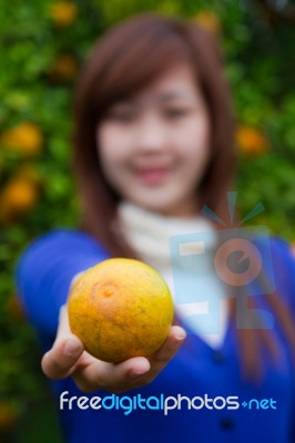 Gardener Girl Picking Fresh Orange Stock Photo