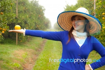 Gardener Girl Picking Fresh Orange Stock Photo