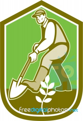 Gardener Landscaper Digging Shovel Cartoon Stock Image