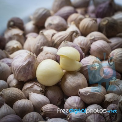 Garlic Stock Photo