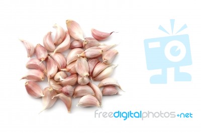 Garlic Stock Photo