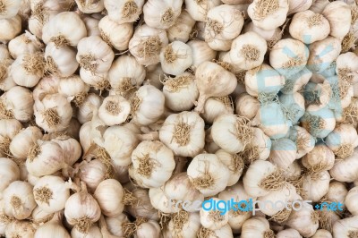 Garlic Stock Photo