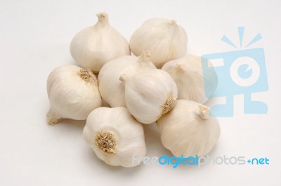 Garlic Stock Photo