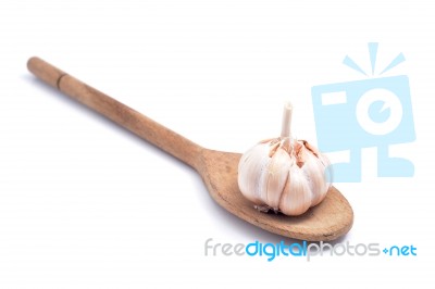 Garlic Stock Photo