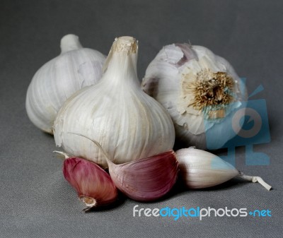 Garlic Stock Photo