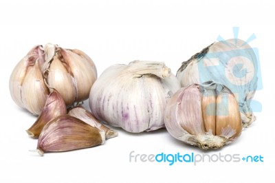 Garlic Bulbs Stock Photo