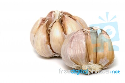 Garlic Bulbs Stock Photo