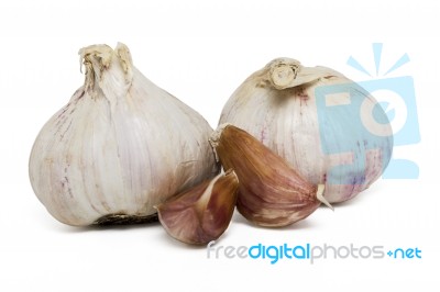 Garlic Bulbs Stock Photo