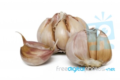 Garlic Bulbs Stock Photo