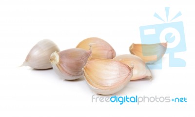 Garlic Isolated On The White Background Stock Photo