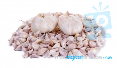 Garlic Isolated On The White Background Stock Photo