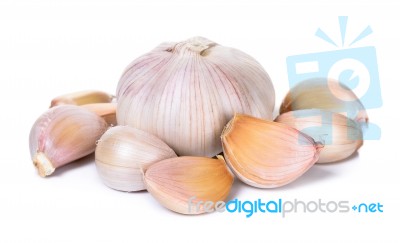 Garlic Isolated On The White Background Stock Photo