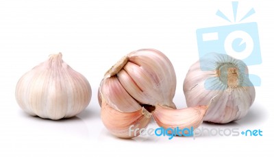 Garlic Isolated On White Background Stock Photo