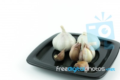 Garlic Isolated On White Background Stock Photo