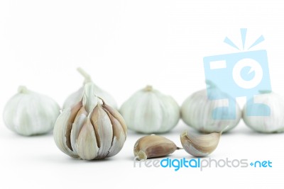 Garlic Isolated On White Background Stock Photo