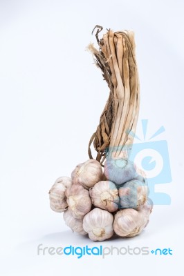 Garlic On Isolated Stock Photo