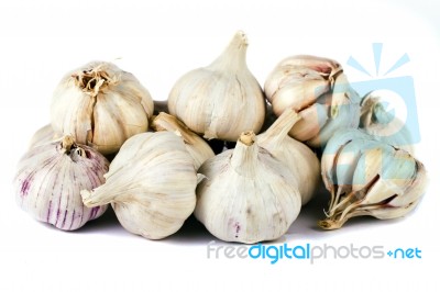 Garlic On White Stock Photo