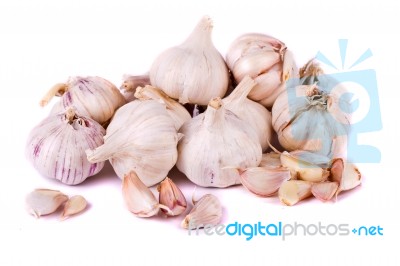 Garlic On White Stock Photo