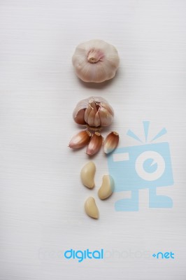 Garlic On White Background Stock Photo