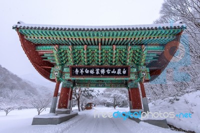 Gate Of Baekyangsa Temple And Falling Snow, Naejangsan Mountain In Winter With Snow,famous Mountain In Korea.winter Landscape Stock Photo