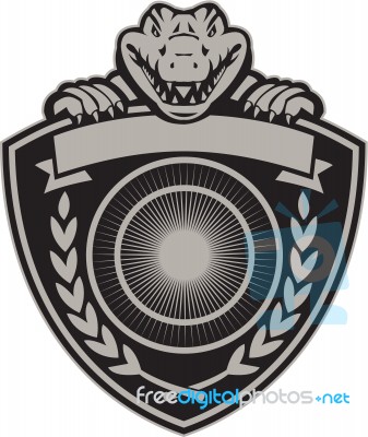 Gator Head Coat Of Arms Retro Stock Photo