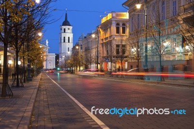 Gediminas In Vilnius At Night Stock Photo