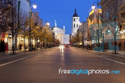 Gediminas In Vilnius At Night Stock Photo