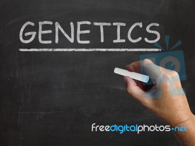 Genetics Blackboard Means Genes Dna And Heredity Stock Image