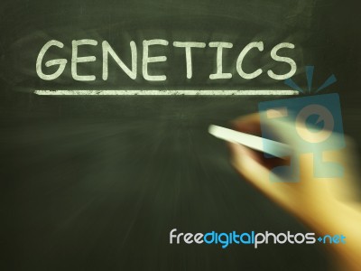 Genetics Chalk Means Genes Dna And Heredity Stock Image