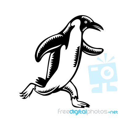 Gentoo Penguin Running Woodcut Stock Image