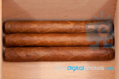 Genuine Cuban Cigars Stock Photo