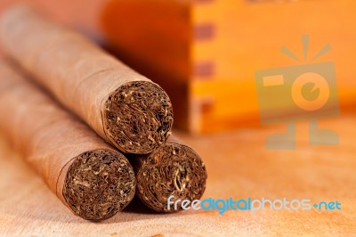 Genuine Cuban Cigars Stock Photo