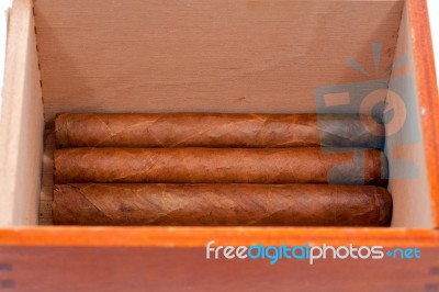 Genuine Cuban Cigars Stock Photo