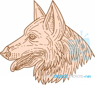 German Shepherd Dog Head Mono Line Stock Image