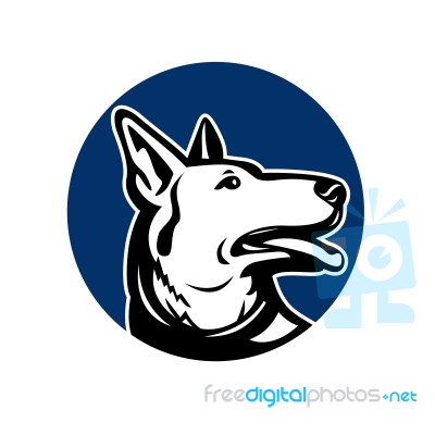 German Shepherd Dog Looking Up Mascot Stock Image