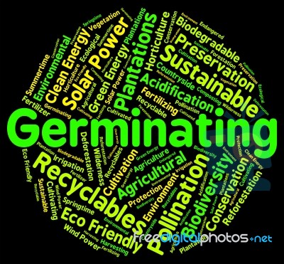 Germinating Word Showing Sows Farm And Cultivates Stock Image