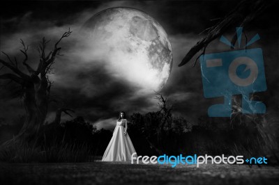 Ghost Woman In White Dress In Creepy Forest,3d Illustration Stock Image