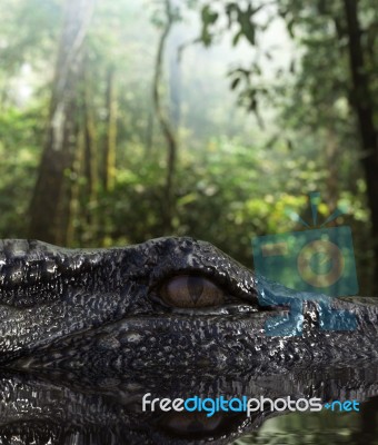 Giant Crocodile In The Lake,3d Illustration Conceptual Stock Image