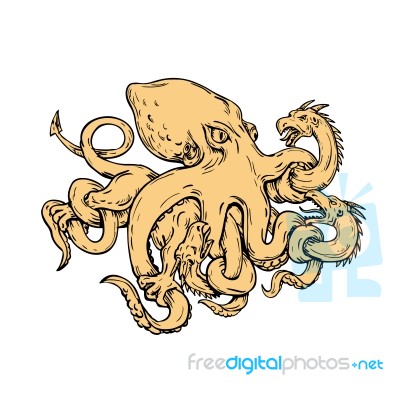 Giant Octopus Fighting Hydra Drawing Stock Image