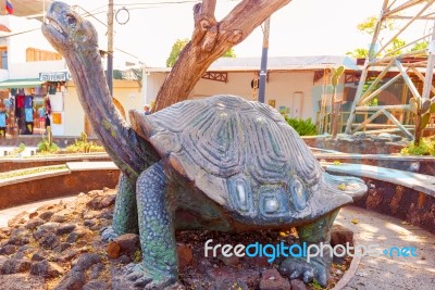 Giant Tortoise Statue In Puerto Ayora On Santa Cruz Island  In G… Stock Photo