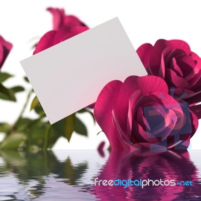 Gift Card Means Gift-card Reflection And Mirror Stock Image