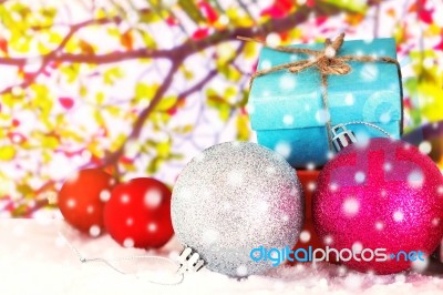 Gift In The Winter Stock Photo