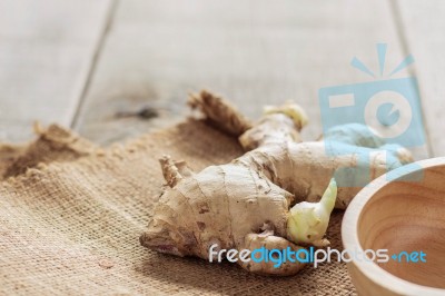 Ginger On A Wooden Stock Photo