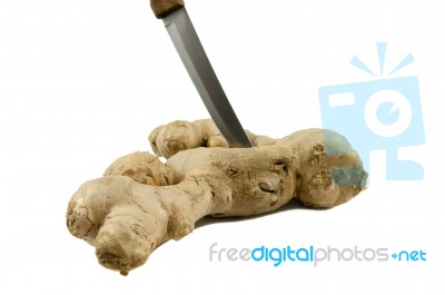 Ginger Root Stock Photo