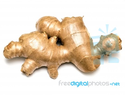 Ginger Root Means Food Rhizome And Foods Stock Photo