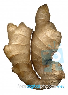 Ginger Root Ove White Stock Photo