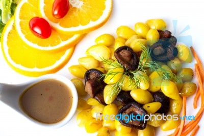 Gingko Seed Stock Photo