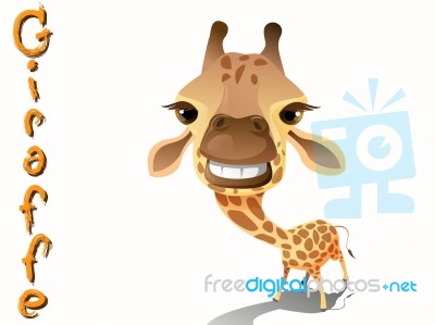 Giraffe Stock Image