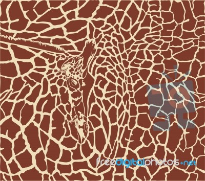 Giraffe Pattern Stock Image