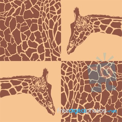 Giraffe Patterns Beige And Brown Stock Image